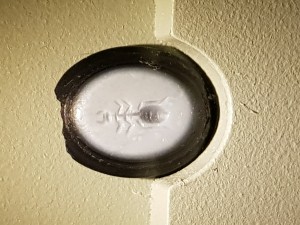 20220324_125500.jpg