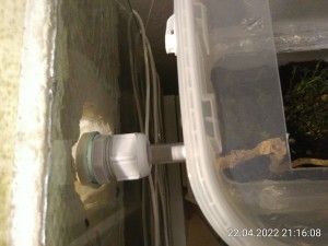 IMG_20220422_211608.jpg