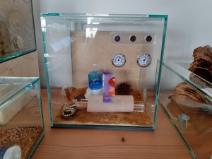 20220424_112110.jpg (2.71 MiB) 3361 mal betrachtet Vielleicht brauchen sie ja nie mehr Platz.