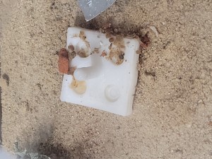 Kleine Tränke