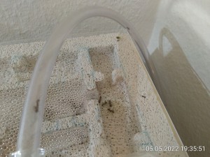 IMG_20220505_193551.jpg