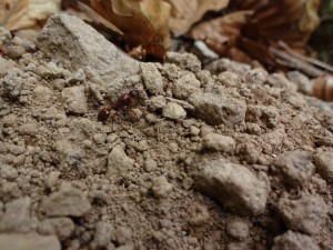 DSC03829.JPG (5.35 MiB) 809 mal betrachtet DSC03829.JPG