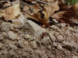 DSC03830.JPG (5.44 MiB) 809 mal betrachtet DSC03830.JPG