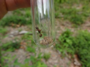 DSC03831.JPG (4.27 MiB) 809 mal betrachtet DSC03831.JPG