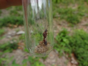 DSC03832.JPG (4.16 MiB) 809 mal betrachtet DSC03832.JPG