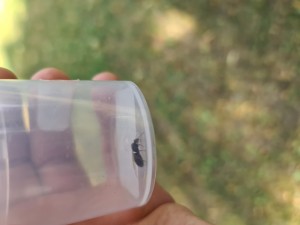 20220613_174343.jpg