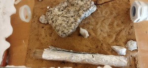 Anscheinend spannend mir zuzusehen, wie ich versuche, das Formicarium sicher zu gestalten