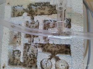 IMG_20220623_204041.jpg (3.27 MiB) 1217 mal betrachtet feucht