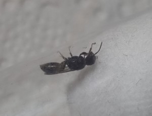 20220625_135324.jpg (192.58 KiB) 848 mal betrachtet 20220625_135324.jpg