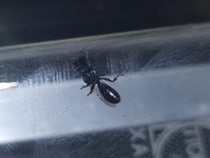 20220625_134909.jpg (97.74 KiB) 848 mal betrachtet 20220625_134909.jpg