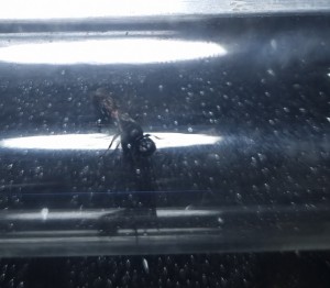 20220625_135008.jpg (172.35 KiB) 810 mal betrachtet 20220625_135008.jpg