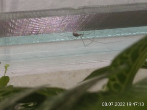 IMG_20220708_194713.jpg (1.39 MiB) 1009 mal betrachtet Endlich...!