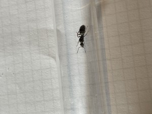 99095188-1A7E-4B9C-BE4A-70B9AF4B1605.jpeg