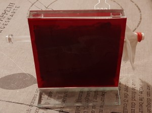 20220722_213637.jpg