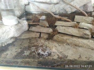 weniger Trubel