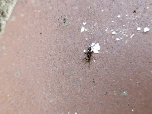 20220808_164939.jpg