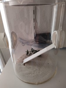Müllbecken.jpeg