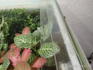 IMG_20220805_205119.jpg (2.75 MiB) 1010 mal betrachtet Seht ihr...?