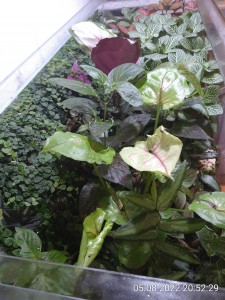 IMG_20220805_205229.jpg (2.98 MiB) 1060 mal betrachtet Von der einstigen Vielfalt...