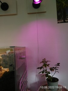 IMG_20220810_193919.jpg (1.8 MiB) 938 mal betrachtet Seit heute bekommt...
