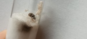 20220819_180024.jpg