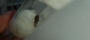 20220819_194323.jpg