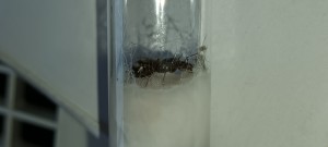 20220819_195251.jpg