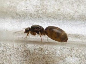IMG_4196.jpeg