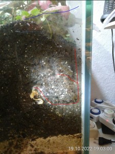 Gänge.JPG (135.12 KiB) 1026 mal betrachtet die neuen Gänge in rot