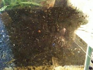 IMG_20221021_231116.jpg (3.18 MiB) 1026 mal betrachtet wie ich diese Reflexionen hasse