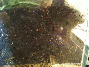 Pilz weg.JPG (212.98 KiB) 876 mal betrachtet Die Gänge wurden erweitert.