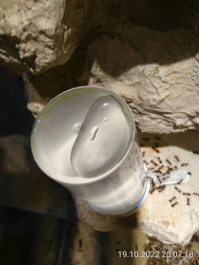 IMG_20221019_200718.jpg (1.48 MiB) 1052 mal betrachtet Seht ihr den grĂĽnen Streifen oben an der Kante?