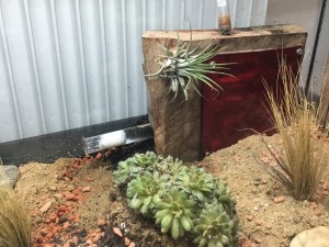 5CF85085-0232-4516-A6EC-637B1898CD92.jpeg (1.98 MiB) 1365 mal betrachtet So sieht es dann aus, der Zugang zum RG liegt höher, so das auslaufendes Wasser nicht ins Nest gelangen kann