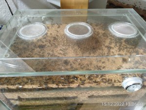 IMG_20221215_130620.jpg (3.42 MiB) 879 mal betrachtet in Hongkong das selbe Bild