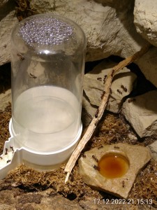 IMG_20221217_211513.jpg (2.43 MiB) 861 mal betrachtet Was ist das?