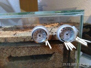 IMG_20221221_183009.jpg (2.79 MiB) 802 mal betrachtet 2 Tage später