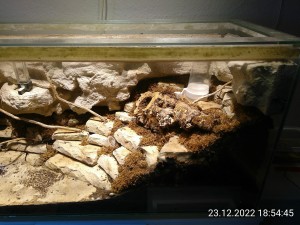 IMG_20221223_185445.jpg