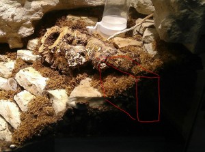 DigFix.JPG (194.9 KiB) 802 mal betrachtet irgendwo unter den Tränken