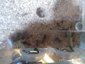 IMG_20221219_171224.jpg (2.39 MiB) 879 mal betrachtet von hinten