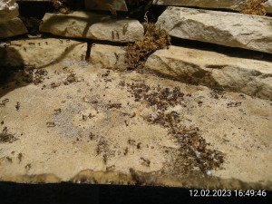 IMG_20230212_164946.jpg (3.41 MiB) 1463 mal betrachtet 12.2. - ein Tag nach der letzten Müllabfuhr