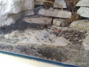 IMG_20230219_153957.jpg (2.45 MiB) 866 mal betrachtet 19.2.