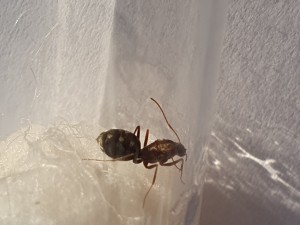 20230425_190808.jpg
