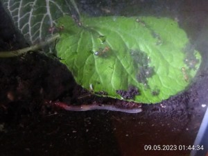 IMG_20230509_014434.jpg