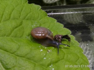 IMG_20230507_175136.jpg