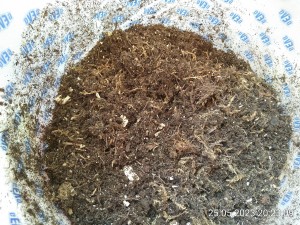 IMG_20230525_202309.jpg