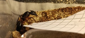 IMG_20230605_110537.jpg