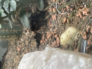 image.jpg (1.93 MiB) 2939 mal betrachtet Da der Krater