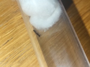 20230710_072654.jpg