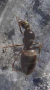IMG_6132.JPG