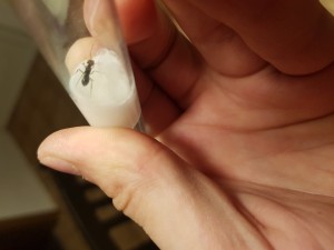 20230715_191658.jpg (3.11 MiB) 647 mal betrachtet 20230715_191658.jpg